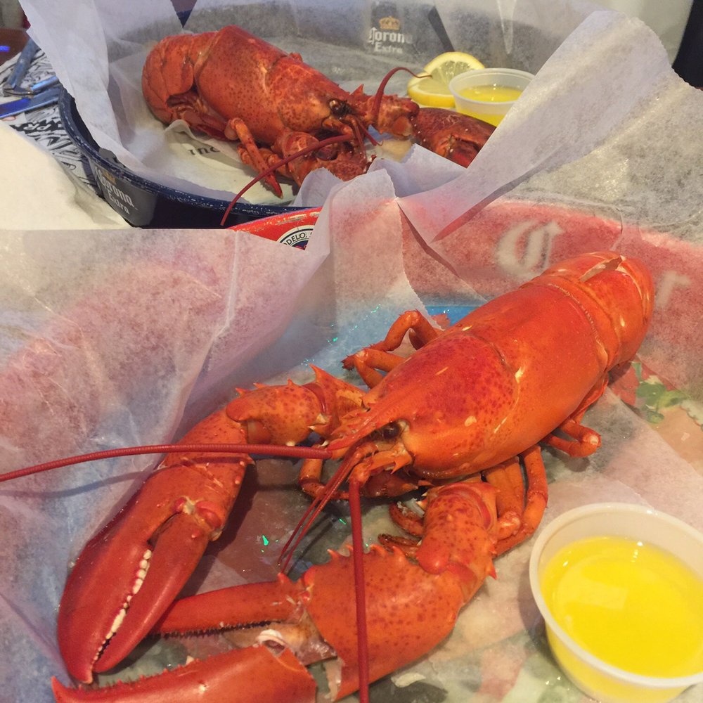 Geddy's - Seafood Near Me - Bar Harbor, Maine Geddy's - Seafood Near Me - Bar Harbor, Maine