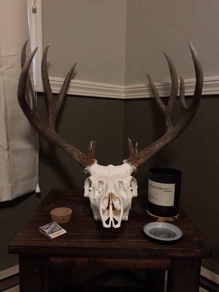 Two Tall Taxidermy - taxidermy in Missoula, MT