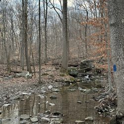 Green Lane Park