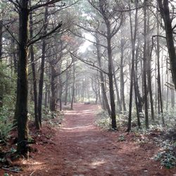 Camp Magruder