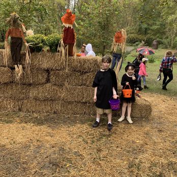 Alabaster Fall Fest - Festivals Near Me - Alabaster, Alabama Alabaster Fall Fest - Festivals Near Me - Alabaster, Alabama