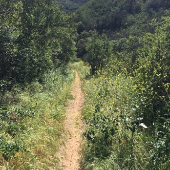 Backbone Trail - Narrow walkway with beatiful flowers, bees, butterflies.. - Hiking Near Me - Malibu, California Backbone Trail - Narrow walkway with beatiful flowers, bees, butterflies.. - Hiking Near Me - Malibu, California