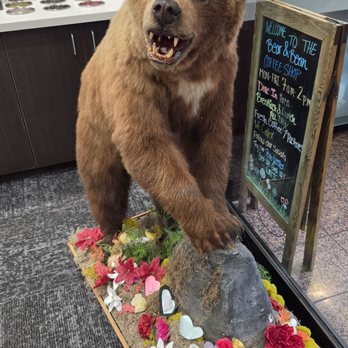 Bear & Bean Coffee Shop - Coffee & Tea Near Me - Milwaukee, Wisconsin