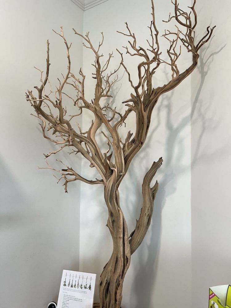 HILL WELLNESS CENTER Updated August 2024 15 Photos & 74 Reviews