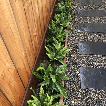 Tin Landscaping - Landscaping Near Me Tin Landscaping - Landscaping Near Me