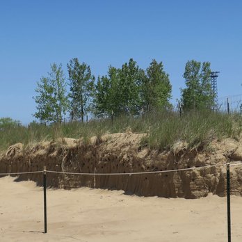Montrose Point Bird Sanctuary - Numerous bird nests built into the sand walls here. - Hiking Near Me - Chicago, Illinois Montrose Point Bird Sanctuary - Numerous bird nests built into the sand walls here. - Hiking Near Me - Chicago, Illinois