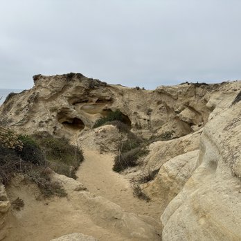 Torrey Pines State Reserve - Trail - Parks Near Me - La Jolla, California Torrey Pines State Reserve - Trail - Parks Near Me - La Jolla, California