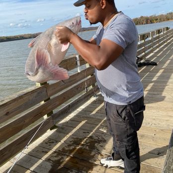 Kings Landing Park - Blue catfish - Parks Near Me - Huntingtown, Maryland Kings Landing Park - Blue catfish - Parks Near Me - Huntingtown, Maryland