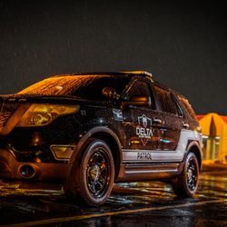 Delta Security Services