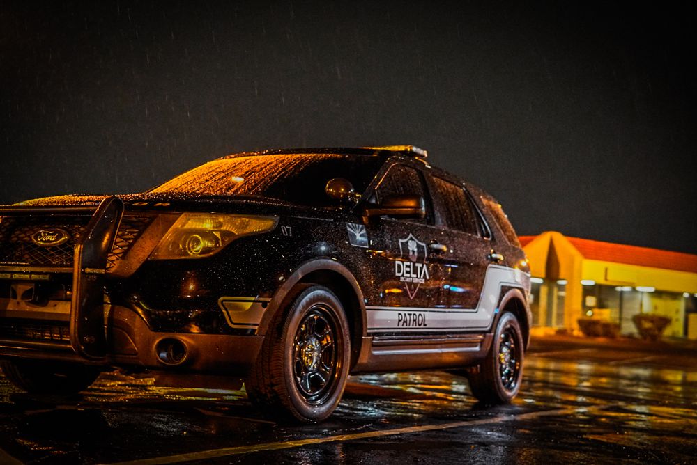 Delta Security Services - safety consultant in Phoenix, AZ