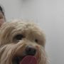 Photo of Hometown Animal Hospital