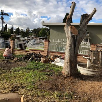 E.L Landscaping & Masonry - a tree that has been cut down - Landscaping Near Me E.L Landscaping & Masonry - a tree that has been cut down - Landscaping Near Me
