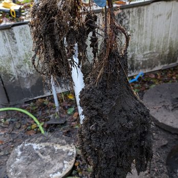 All Clear Septic - Septic Services Near Me - Clinton, Washington