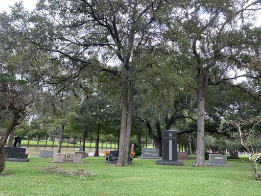 Forest Park East Funeral Home & Cemetery Obituaries
