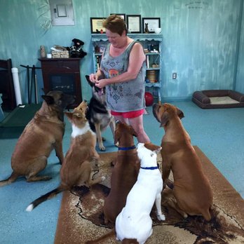 Mason's Mongrel's Dog Training & Kennel's - Pet Training Near Me - Elberta, Alabama Mason's Mongrel's Dog Training & Kennel's - Pet Training Near Me - Elberta, Alabama