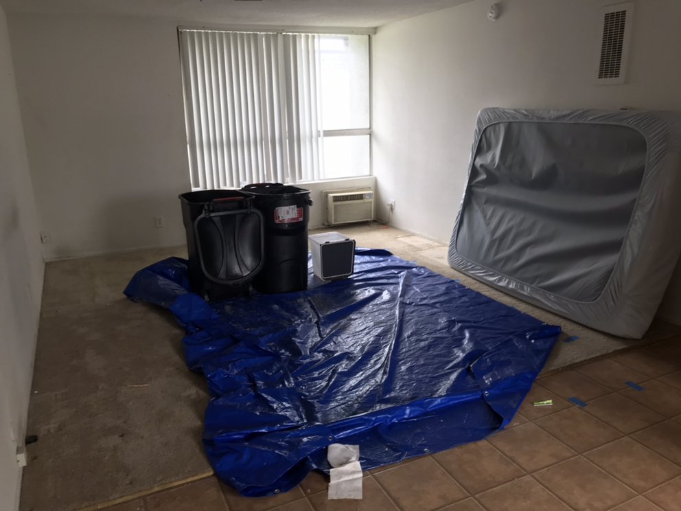 A Plus Mold Inspectors - mold inspector in Porter Ranch, CA