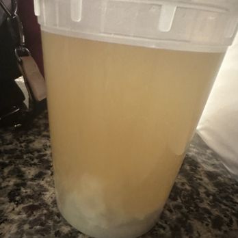 Great China Restaurant - Picture of wonton soup where are all the ingredients as advertised!!! - Chinese Near Me - Kirkland, Washington