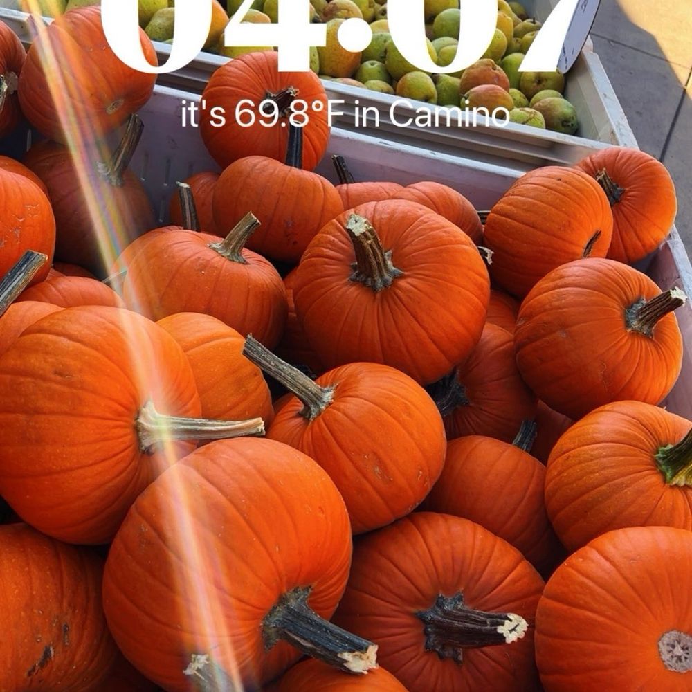 Boa Vista Orchards - Fruits & Veggies Near Me - Placerville, California