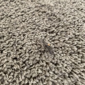 Zisty Clean - A dog lived in this home previously, and this is one of the multiple hairballs their vacuum didn't pick up. - Home Cleaning Near Me - Denver, Colorado
