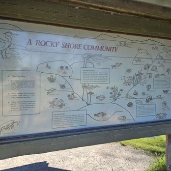 Deception Pass State Park - Tide pool information - Community Service/Non-Profit Near Me - Oak Harbor, Washington