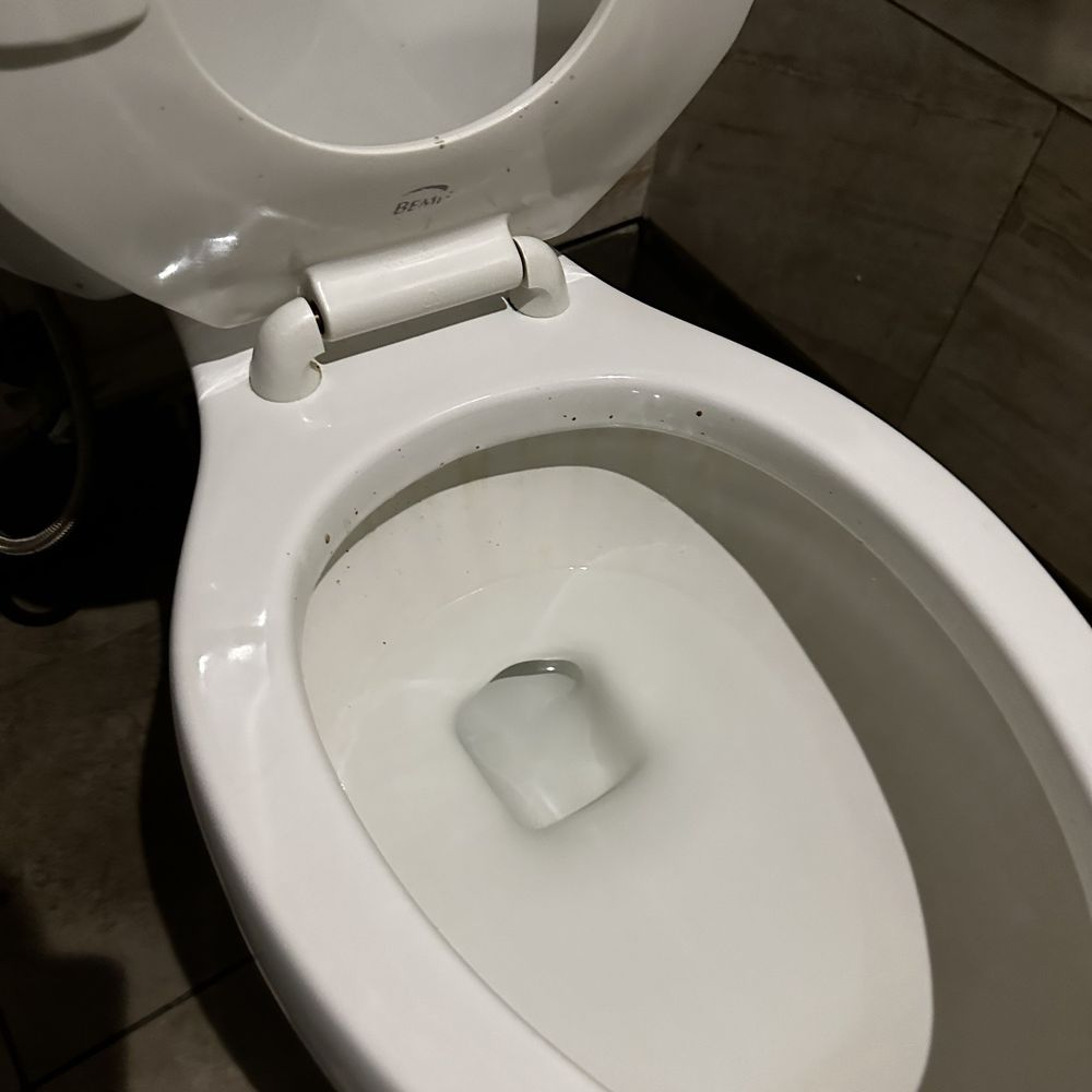 Tokyo Sushi - Facal matter around toilet and on the seat - Sushi Bars Near Me - Brooklyn Park, Minnesota Tokyo Sushi - Facal matter around toilet and on the seat - Sushi Bars Near Me - Brooklyn Park, Minnesota