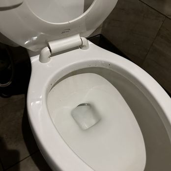 Tokyo Sushi - Facal matter around toilet and on the seat - Sushi Bars Near Me - Brooklyn Park, Minnesota Tokyo Sushi - Facal matter around toilet and on the seat - Sushi Bars Near Me - Brooklyn Park, Minnesota