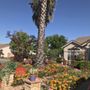 Photo of Brians Tree Service