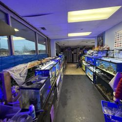 Birds & Beasts Pet Shop - More fish.