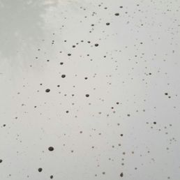Here's the kind of carwash you get at Belleville's Waterworks car wash!!! Here's the kind of carwash you get at Belleville's Waterworks car wash!!!