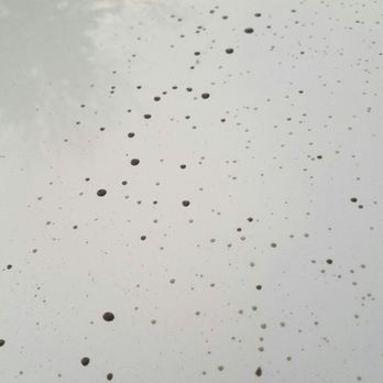Waterworks Car Wash - Here's the kind of carwash you get at Belleville's Waterworks car wash!!! - Car Wash Near Me - Belleville, Michigan Waterworks Car Wash - Here's the kind of carwash you get at Belleville's Waterworks car wash!!! - Car Wash Near Me - Belleville, Michigan