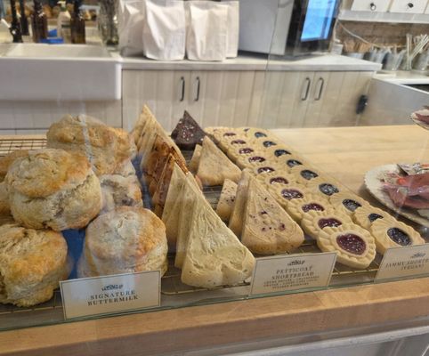 Kitten and the Bear by null