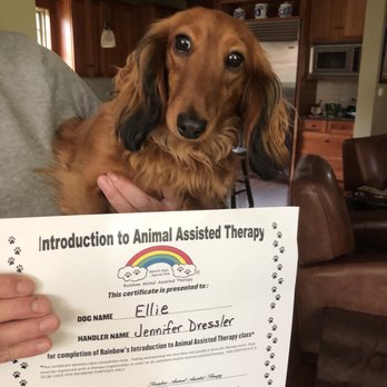 Big Sky Dog Training - Pet Training Near Me - Wonder Lake, Illinois Big Sky Dog Training - Pet Training Near Me - Wonder Lake, Illinois