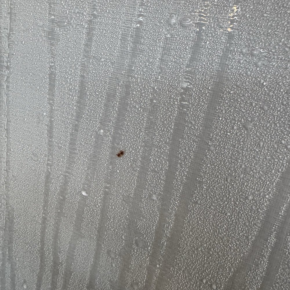 Outdoor Living Pool & Spa - Moldy cover after we paid Outdoor Living on Omaha Nebraska to clean it. - Pool & Hot Tub Service Near Me - Omaha, Nebraska