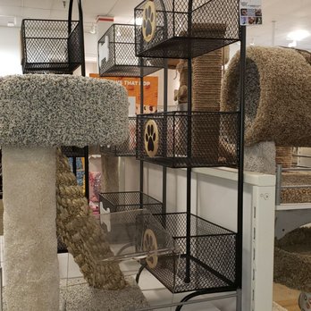 Home Goods - Cat stuff - Home Decor Near Me - Pembroke Pines, Florida
