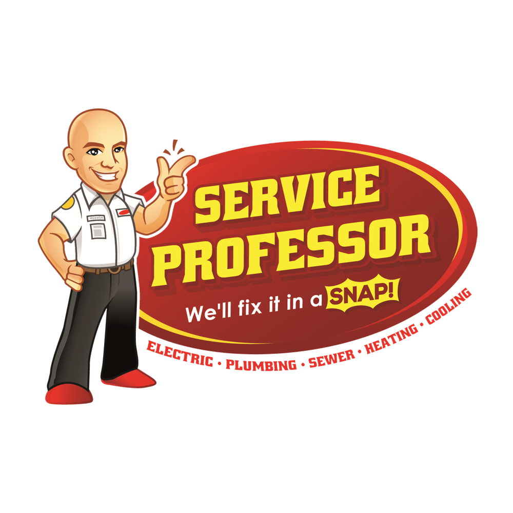 Slide of Service Professor
