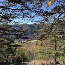 Fortunes Cove Preserve