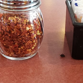 Pizza Inn - Pizza Near Me - Houston, Texas Pizza Inn - Pizza Near Me - Houston, Texas