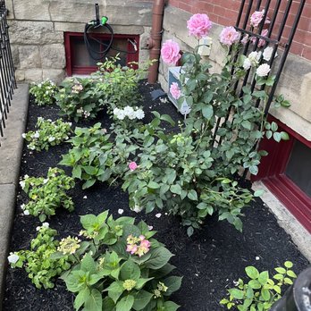 The Priory Hotel - Outside roses - Hotels Near Me - Pittsburgh, Pennsylvania The Priory Hotel - Outside roses - Hotels Near Me - Pittsburgh, Pennsylvania