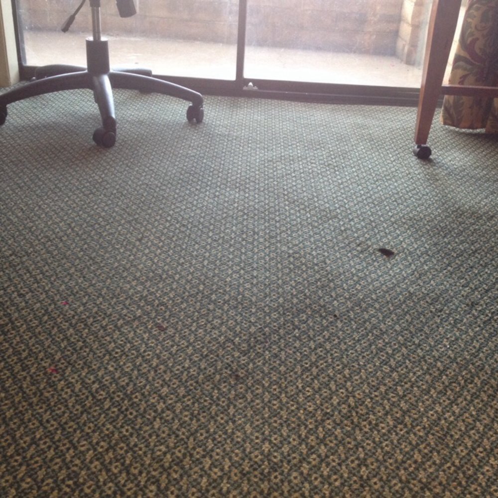 Red Lion Hotel Redding - Dirty carpet. - Hotels Near Me - Redding, California