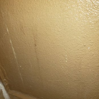 Econo Lodge - Filth on the walls! - Hotels Near Me - Tracy, California Econo Lodge - Filth on the walls! - Hotels Near Me - Tracy, California