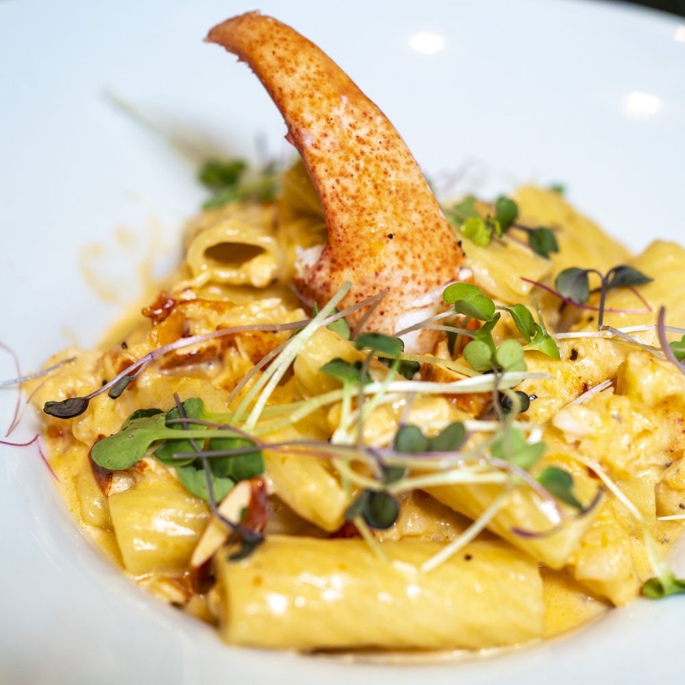 Bistro 72 - a plate of pasta with a piece of bread and sprouts - American Near Me - Riverhead, New York Bistro 72 - a plate of pasta with a piece of bread and sprouts - American Near Me - Riverhead, New York