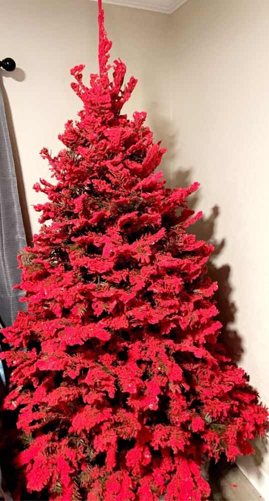 TODD’S CHRISTMAS TREES Updated September 2024 64 Photos & 126