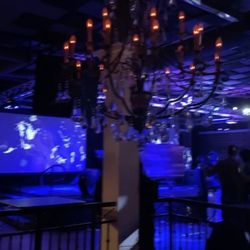 Aurea Vista - Club dominion Thursday nights