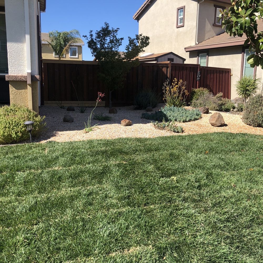 Zoe Landscaping - Landscape Architects or Designers Near Me