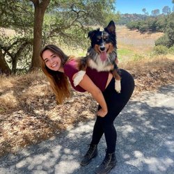 Next Gen ACS - Next level dog training showing off their skills
