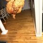 Photo of Chicken Town