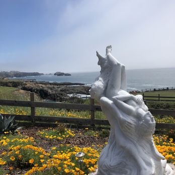 Pacific Star Winery - Amazing wine room right on the edge of the cliffs! - Wineries Near Me - Fort Bragg, California Pacific Star Winery - Amazing wine room right on the edge of the cliffs! - Wineries Near Me - Fort Bragg, California