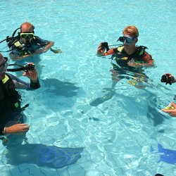 Aquatic Adventures