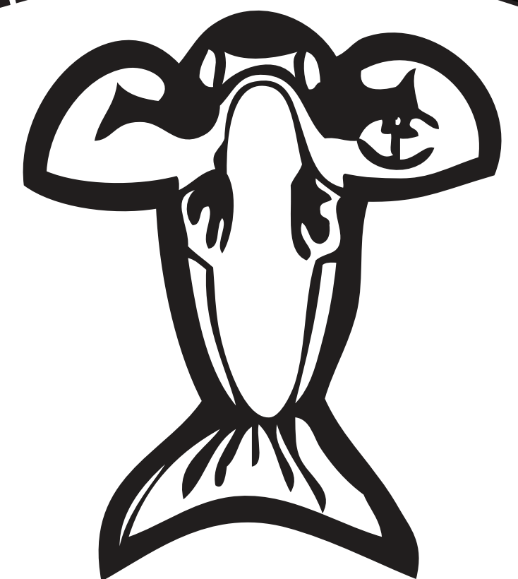 Joesnook fishing charters Logo