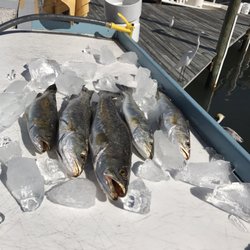 Sumotime Fishing Charter